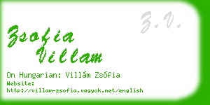 zsofia villam business card